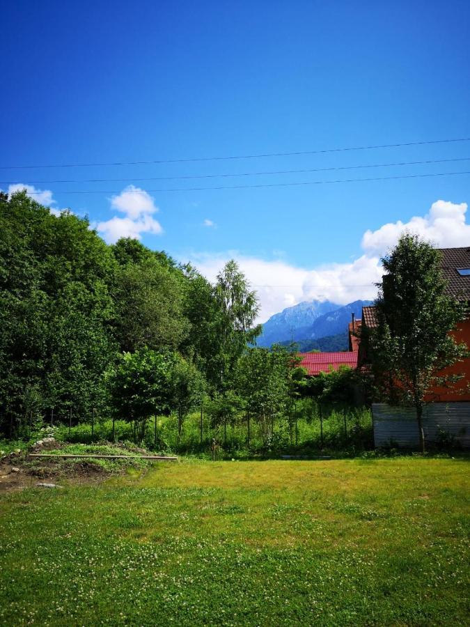Cedar Crest Aparthotel Rîşnov Exteriör bild